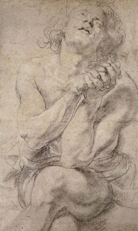 Peter Paul Rubens Daniel oil painting picture